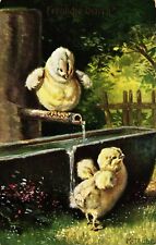 Ostern, Küken, Wassertrog, sign. Maxim Trübe, 1908
