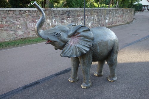 Xxl elefant kind baby - kind,