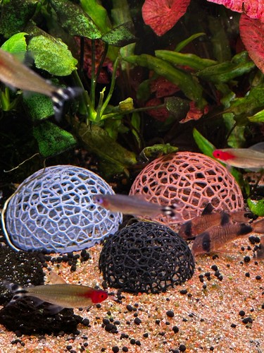 Aquarium garnelen kuppel deko - garnelen,