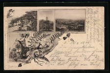 Vorläufer-AK Oberlößnitz