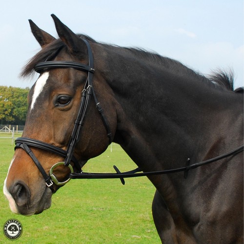 Heritage saddlery englische - heritage,