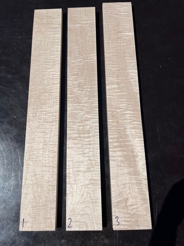 Curly flame maple - flame,