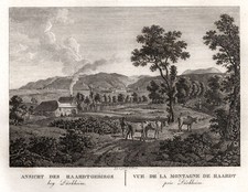 Bad Dürkheim Original Kupferstich Roux 1826