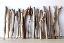 Treibholz Schwemmholz