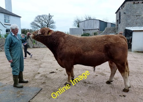 Foto 12x8 east farm - 12x8,