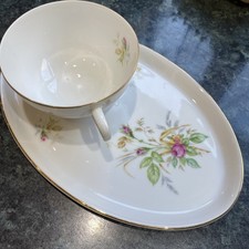 THOMAS R ROSENTHAL Germany Snackteller Porzellan Rose Floral Teetasse Vintage 