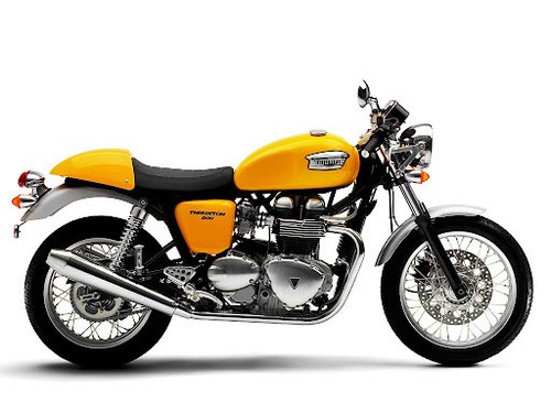 Download triumph thruxton 900 - triumph,