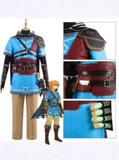 The Legend of Zelda Link