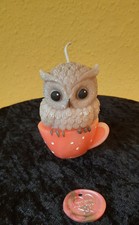 Kerze Motiv Eule auf Tasse 