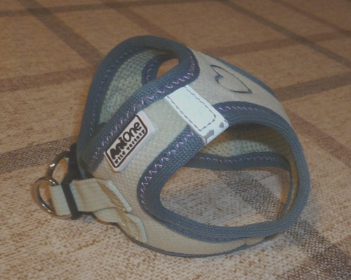 Hunde welpen brustgeschirr - welpen,