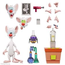 Pinky and the Brain Animaniacs