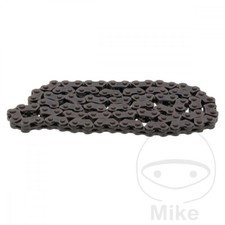 Endless cam chain - endless,