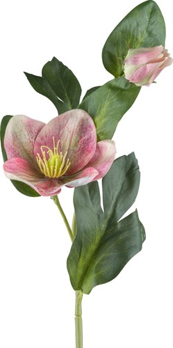 Kunstblume christrose 7er - kunstblume, christrose,