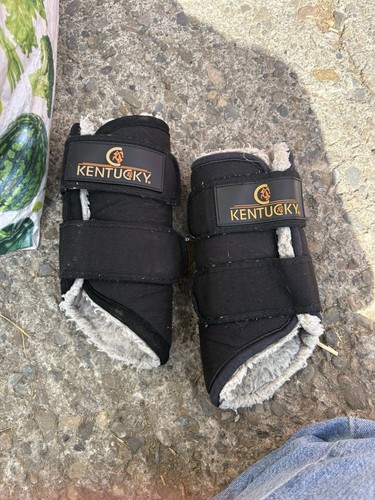 Kentucky brushing boots - brushing,