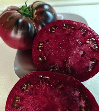 10 Samen Tomate "Black from