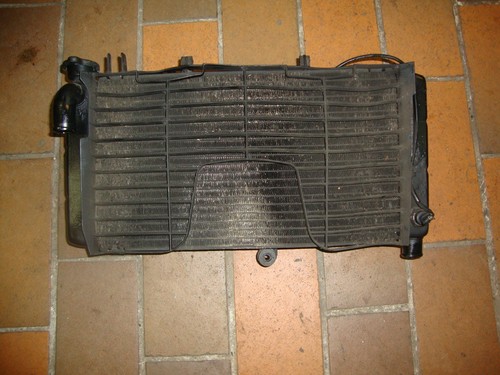 Cbr 900 sc28 kühler - cbr,