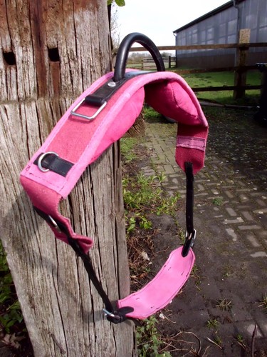 Longiergurt reithilfe mit - /,