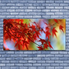 Glasbilder Wandbild Druck auf