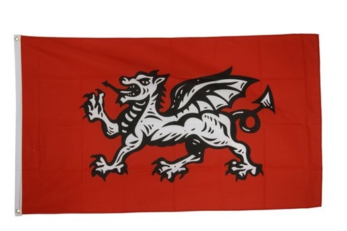 Fahne england weißer drache - fahne,
