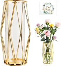 Gold Vase Pampasgras Hohe