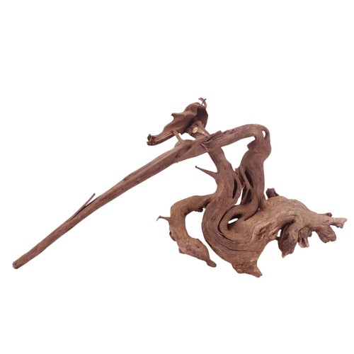 Driftwood flußwurzel - xl,