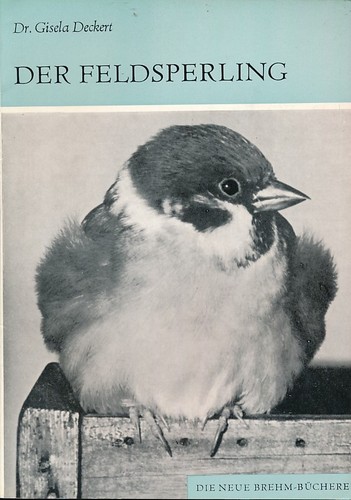 Gisela deckert der - deckert:,