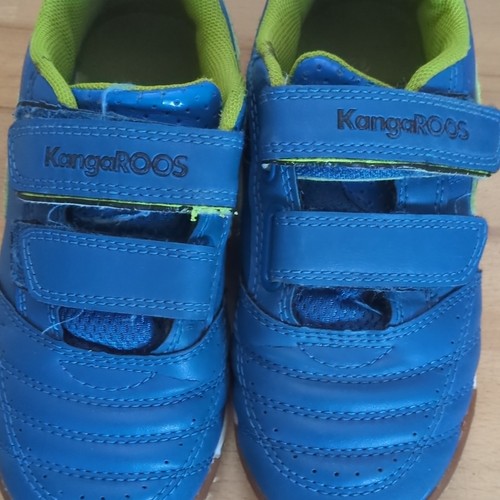Kangaroos jungen - kangaroos,
