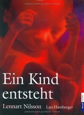 Ein Kind entsteht