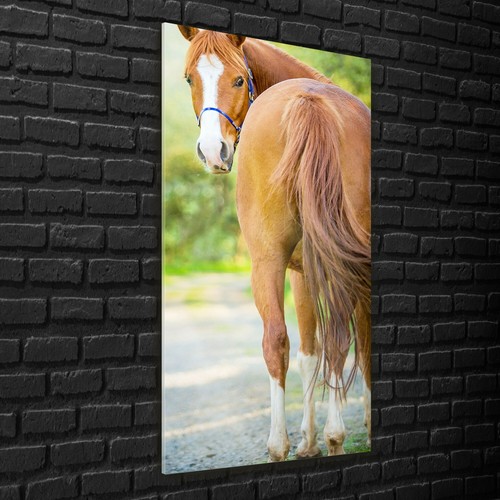 Wandbilder glasbilder xxl - wandbilder,