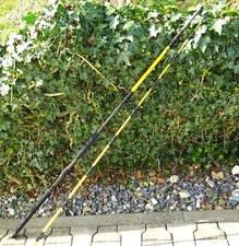 Welsrute Wallerrute Brutal