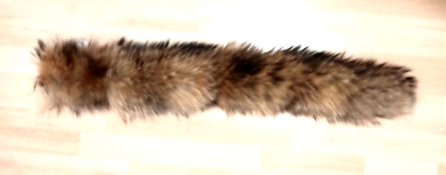 102 natur waschbär - 102,