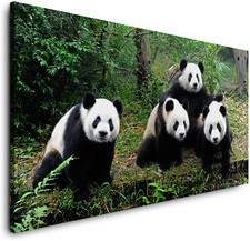 LEINWAND-PANDA-FAMILIENPORTRÄ