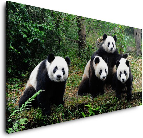 LEINWAND-PANDA-FAMILIENPORTRÄ