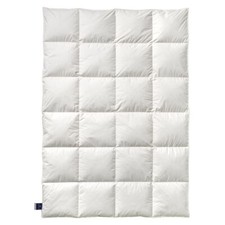 Billerbeck Daunendecke 306 Nena Kassette II warm mit 100 % Gänsedaunen