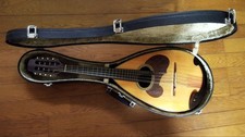 Suzuki Geige Mandola MD-4 mit