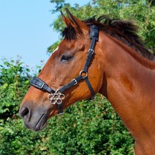 Flower Hackamore gebisslose