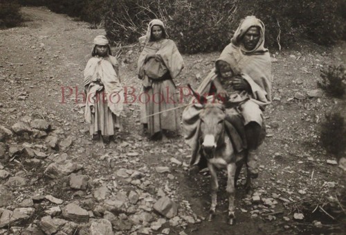 Algérie famille auf dem - algÉrie,