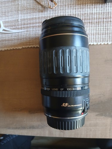 Canon ultrsonic 100 300 - canon, ef