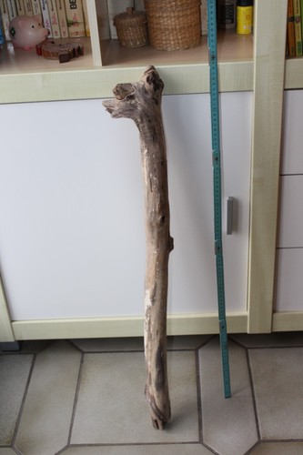 Dicker treibholz stock - treibholz,
