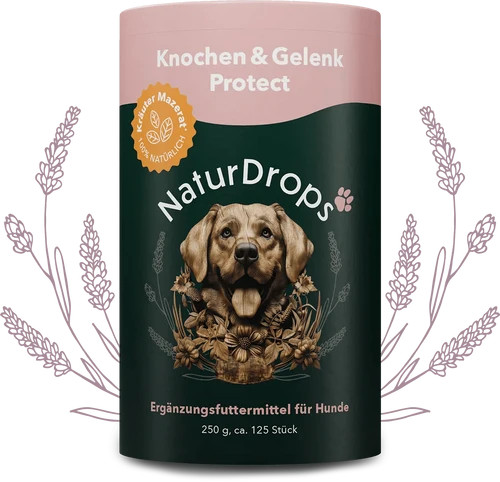 Knochen gelenk protect - knochen, &
