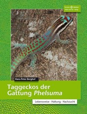 Taggeckos der Gattung