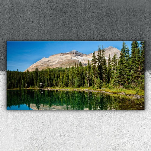 Reflexions landschaft see - reflexions,