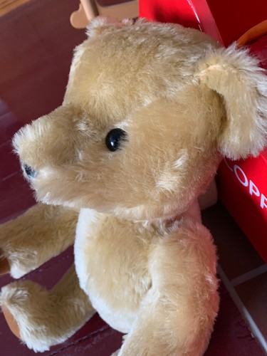50cm teddybär fach - 50cm, 5-fach