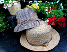 Seeberger Paper - Traveller