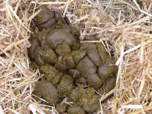 Naturdünger blumendünger bio - naturdünger,