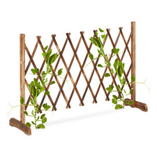 Rankgitter holz Scherenspalier