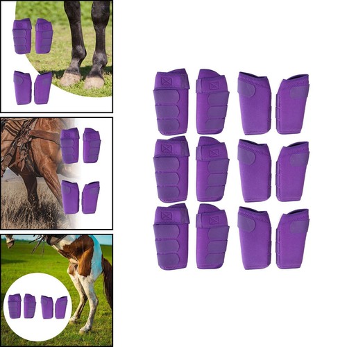 Stück pferd stiefel bein - stück,