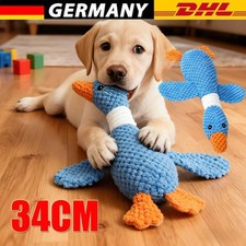 Hundespielzeug für aggressive