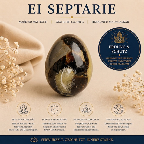 Septarien 168g madagaskar - septarien,