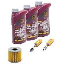 Inspektion Set Öl 3L für